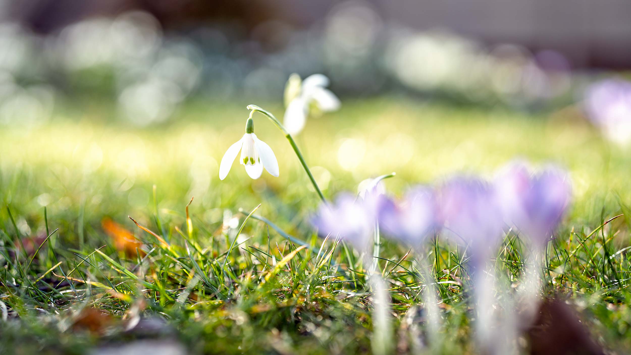 Fotograf Jochen Bückers