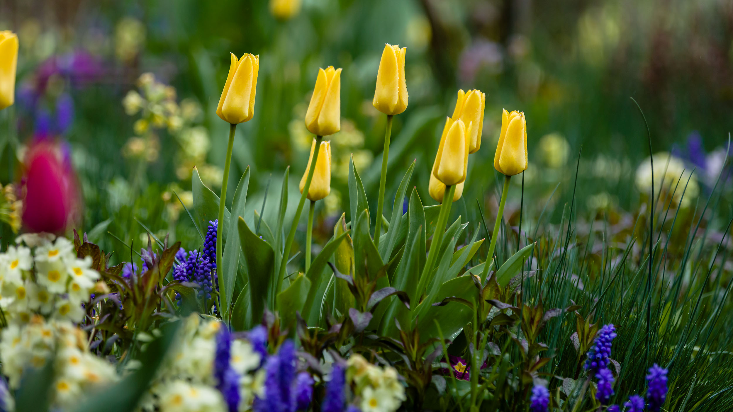 Fotograf Jochen Bückers